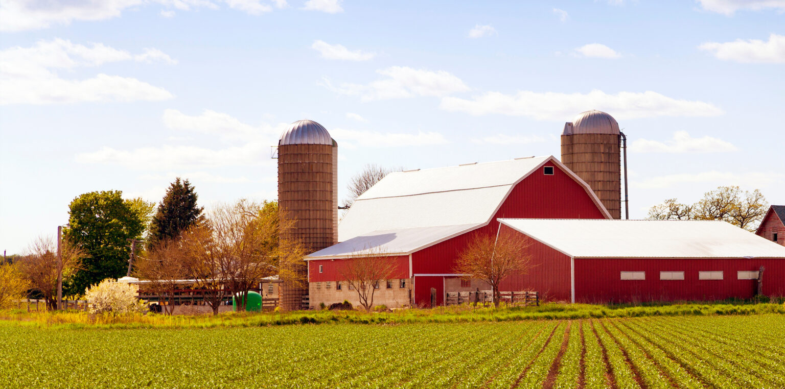 Dairy Farm Transitions Minnesota Dairy Initiative